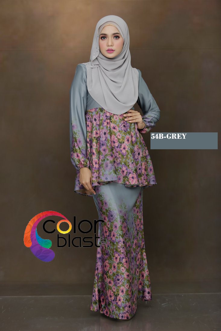 54B Grey - Image 2