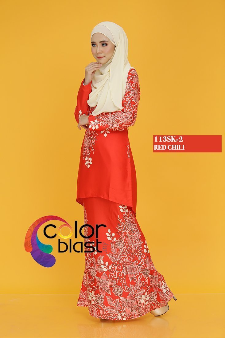 113SK-2 - Image 2