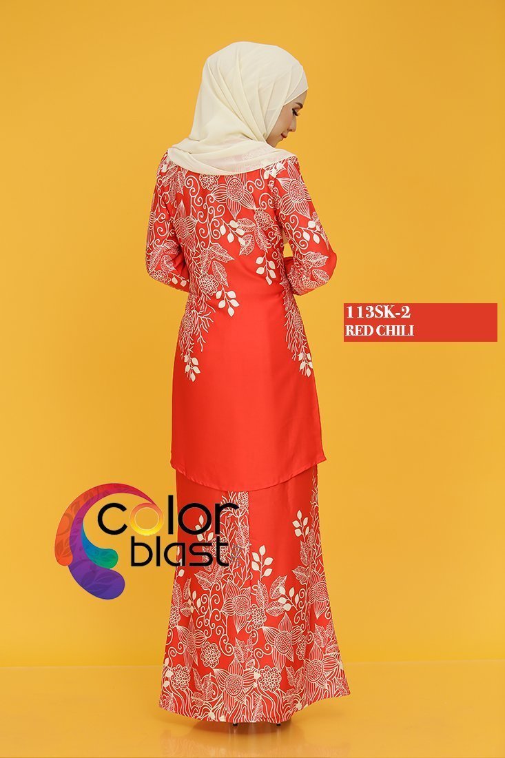 113SK-2 - Image 4