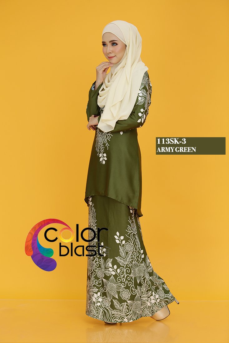 113SK-3 - Image 2