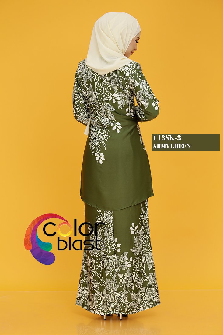 113SK-3 - Image 4
