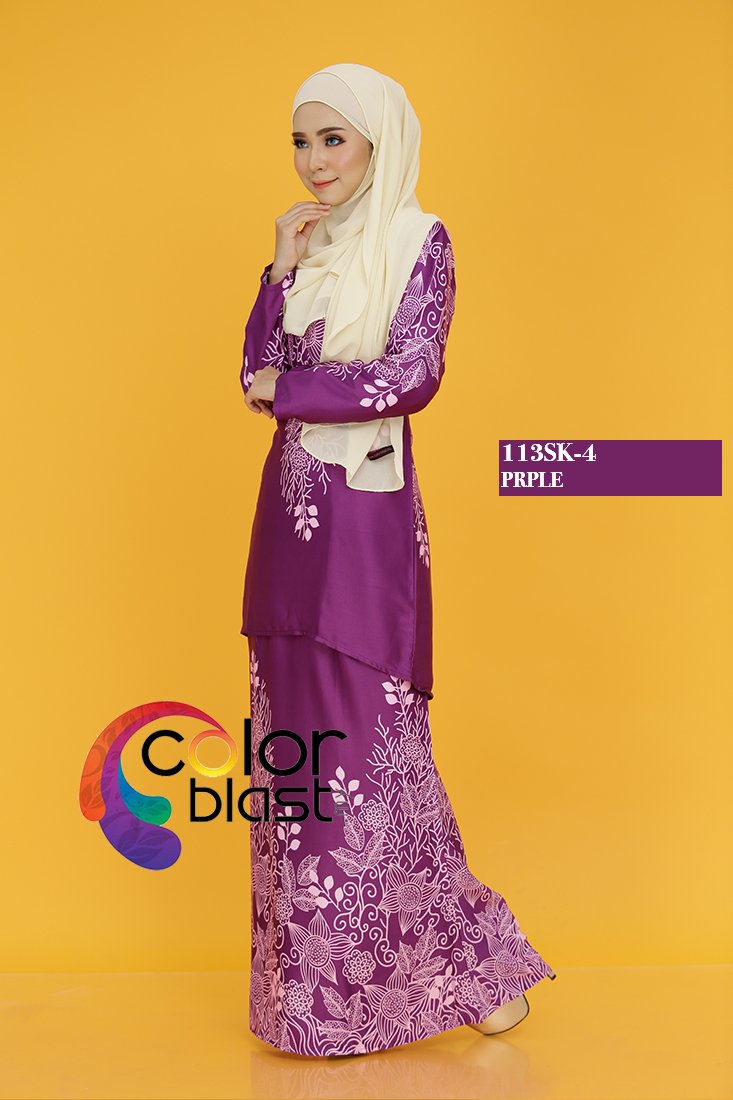 113SK-4 - Image 3