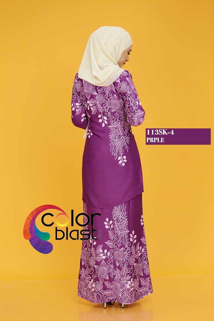 113SK-4 - Image 4