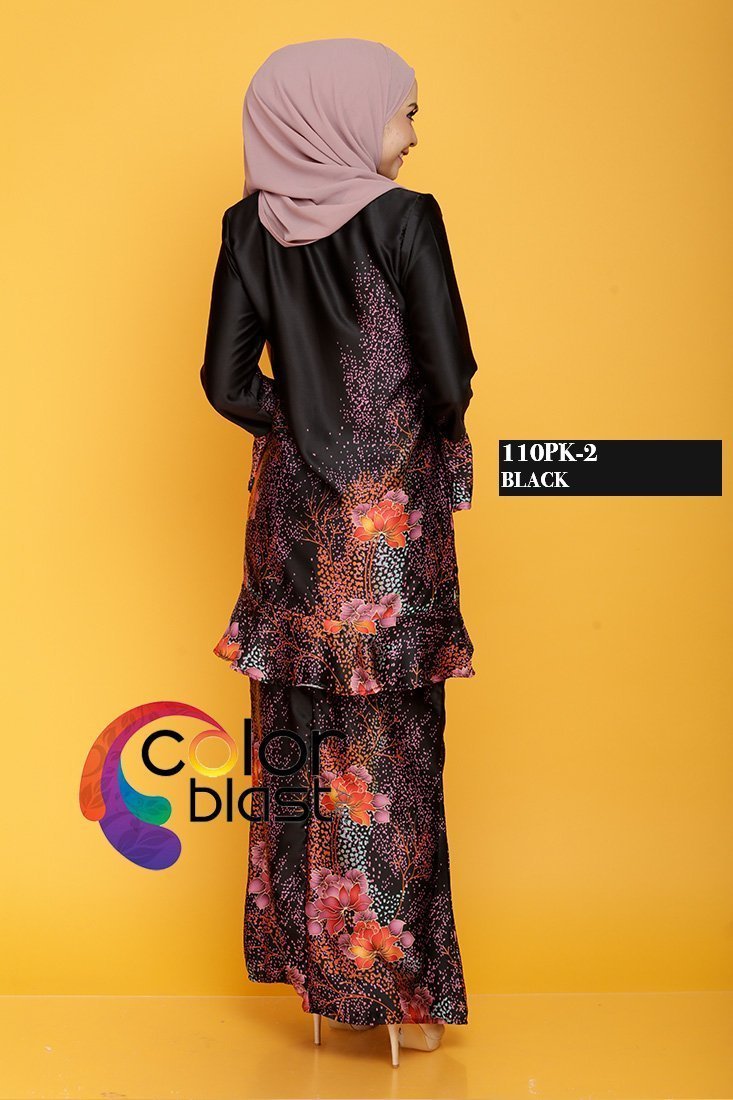 110PK-2 - Image 4