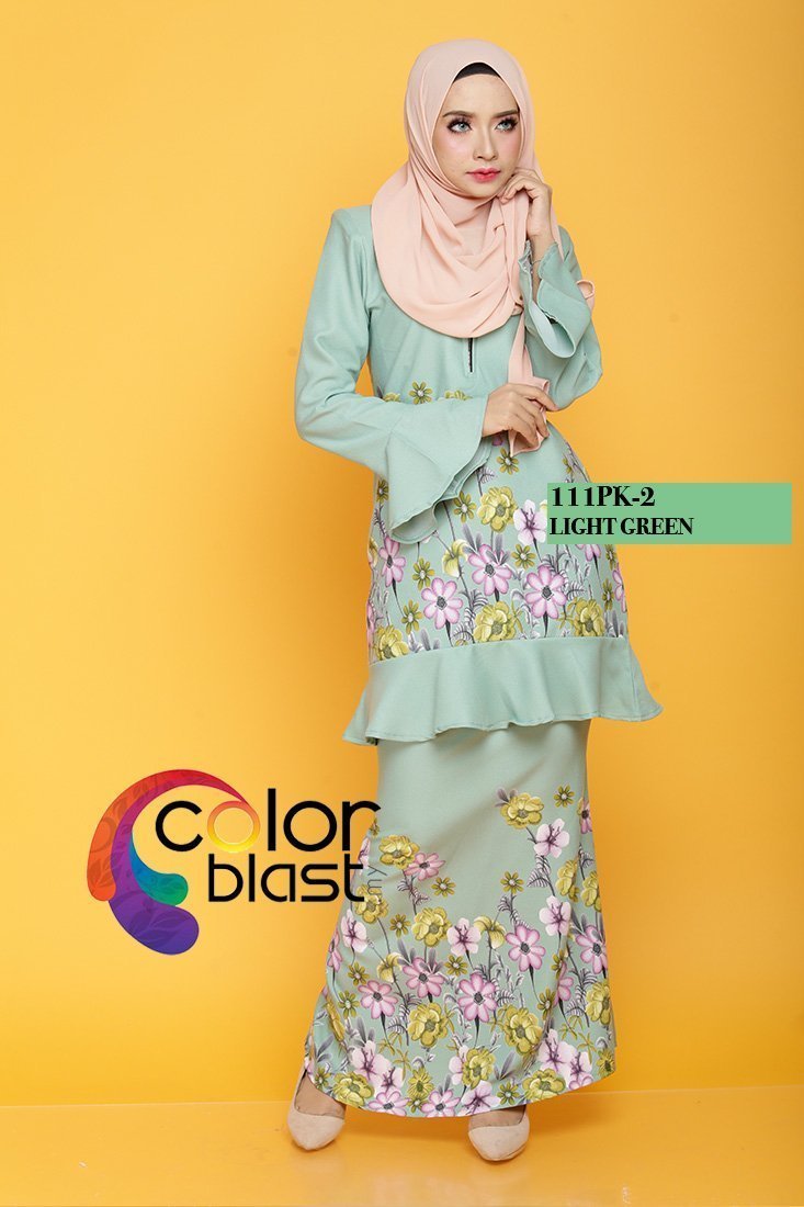 111PK-2 - Image 2