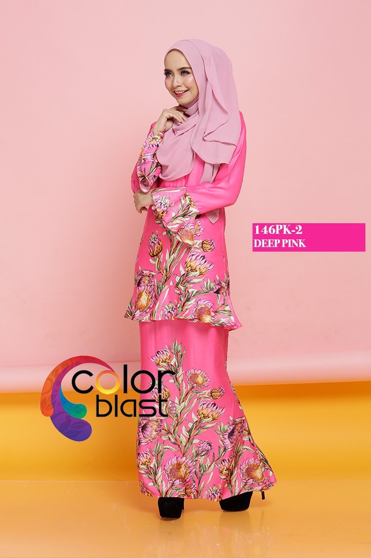 146PK-2 - Image 2