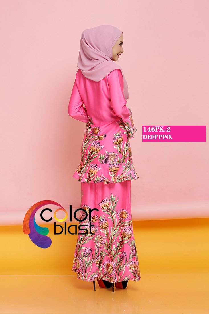 146PK-2 - Image 4