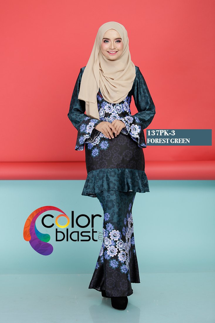 137PK-3 - Image 3