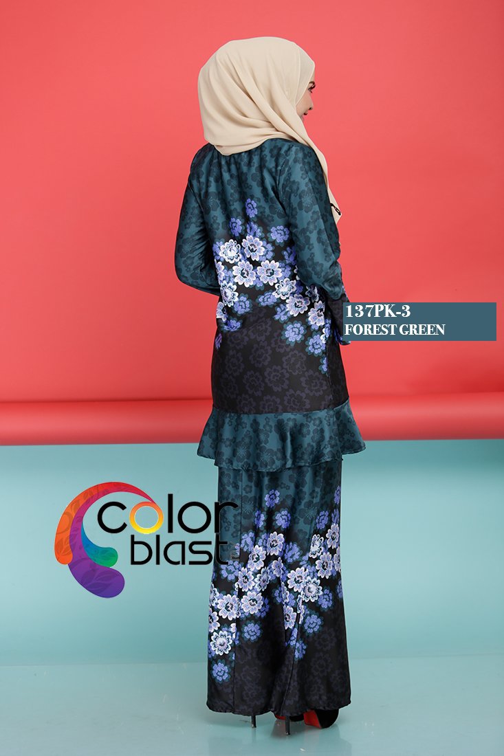 137PK-3 - Image 4