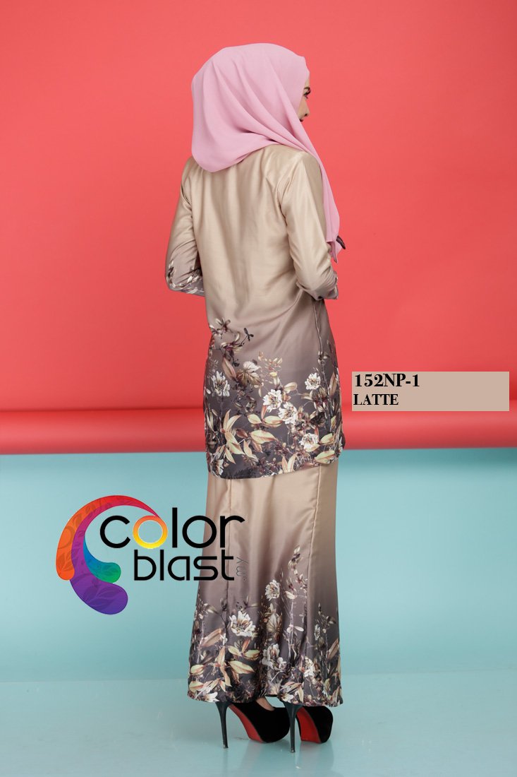 152NP-1 - Image 4
