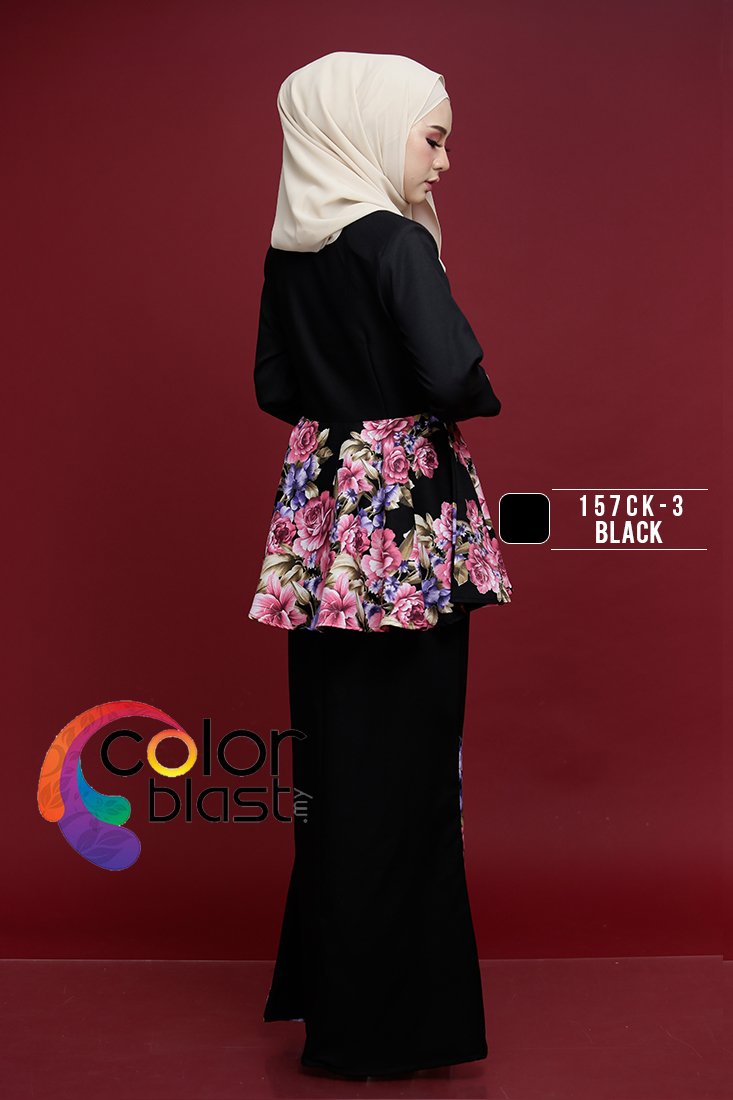 157CK-3 - Image 4