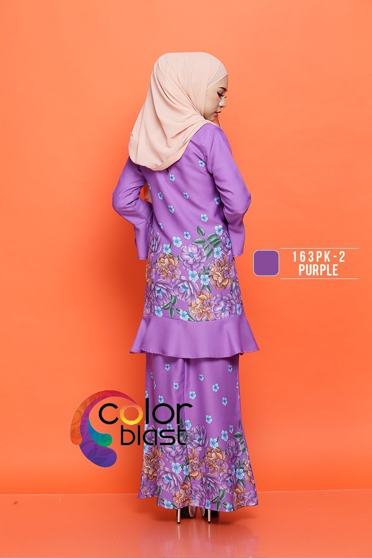 163PK-2 - Image 4