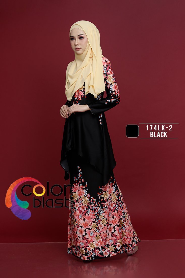 174LK-2 - Image 2