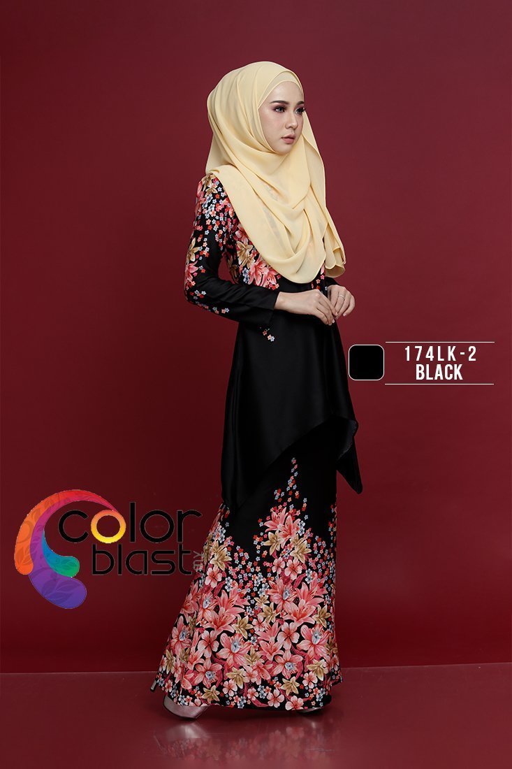 174LK-2 - Image 3