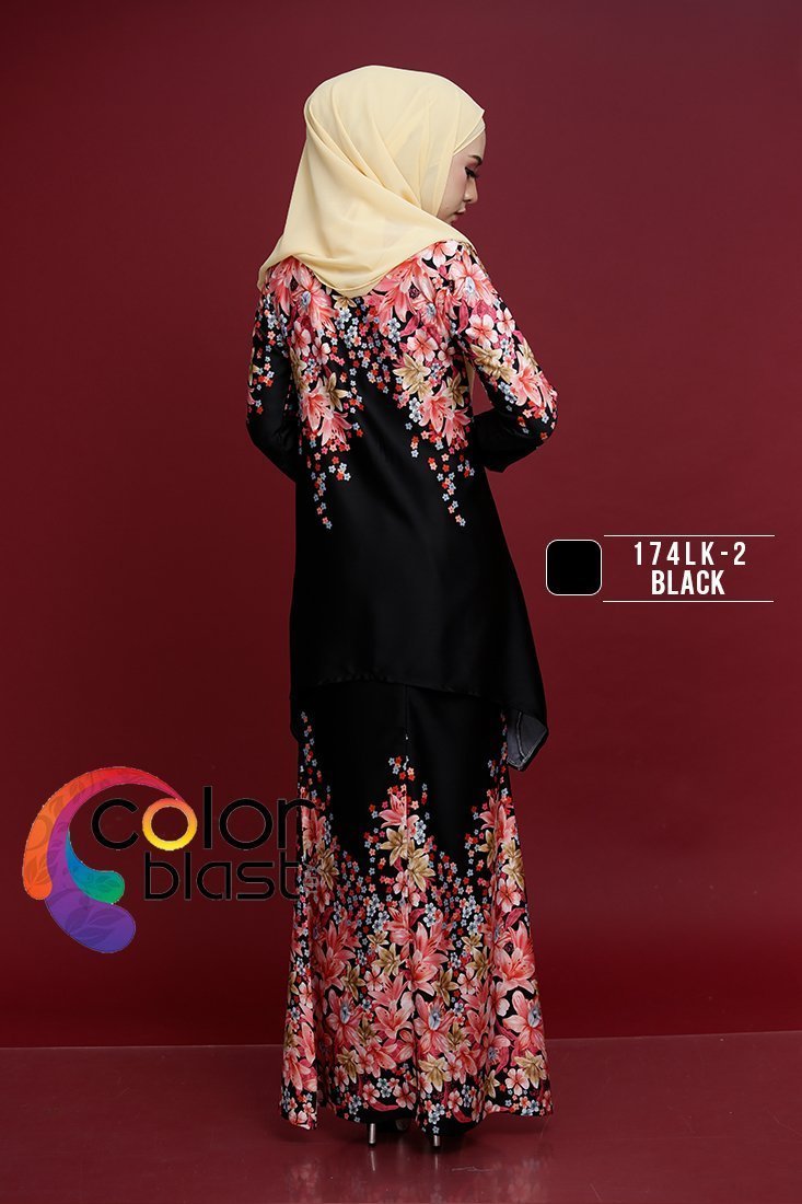 174LK-2 - Image 4