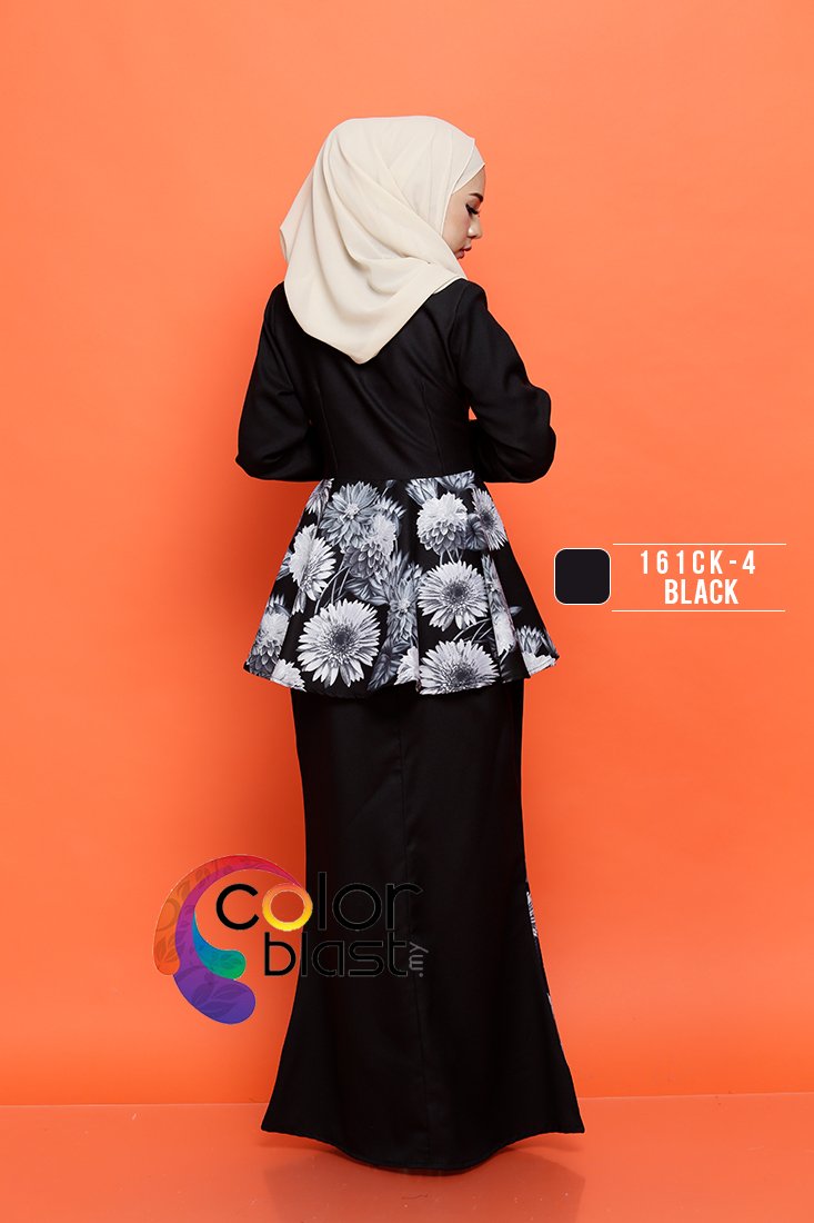 161CK-4 - Image 4
