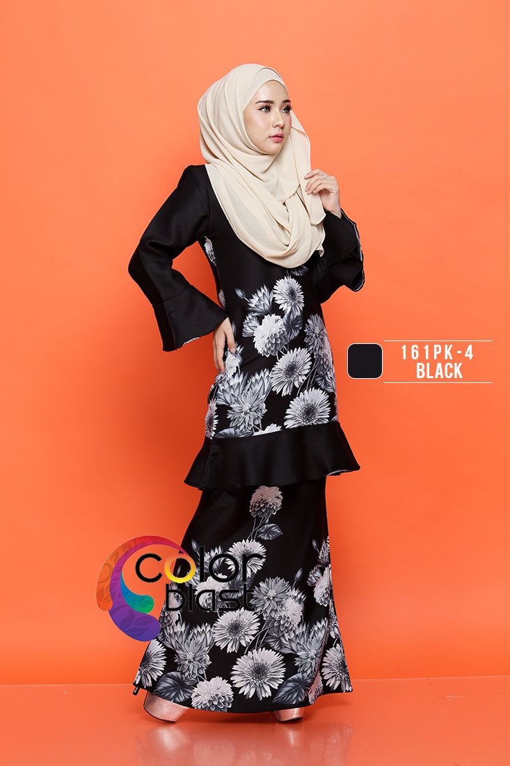 161PK-4 - Image 2