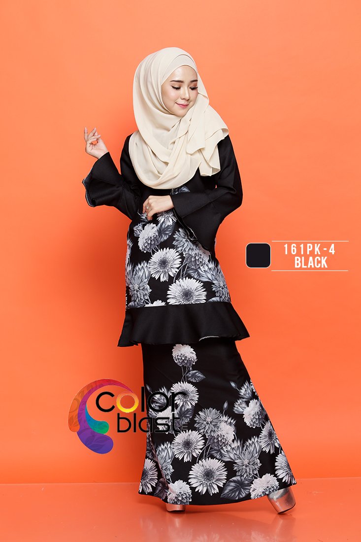 161PK-4 - Image 3