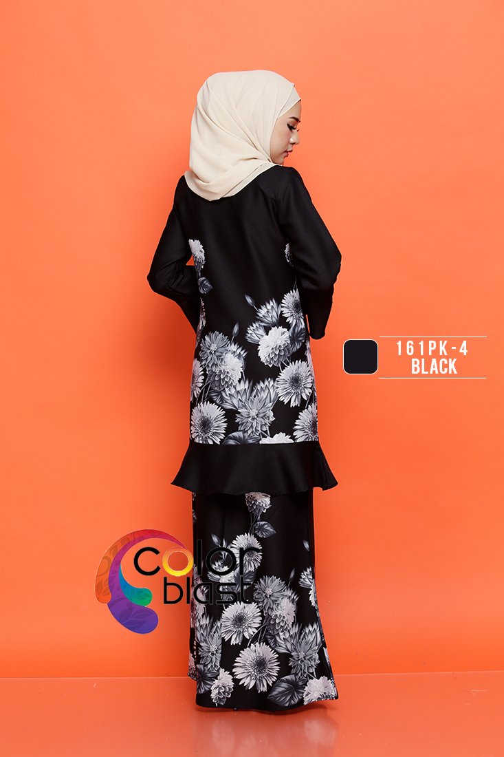 161PK-4 - Image 4