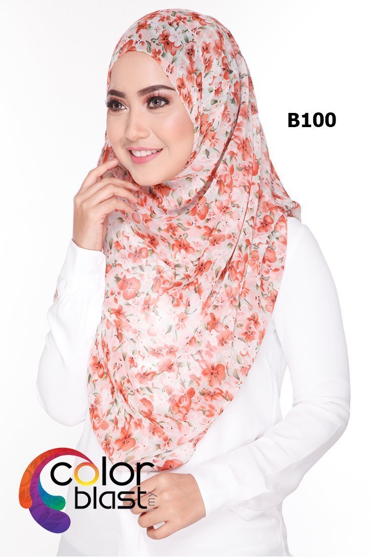 B100 - Image 2
