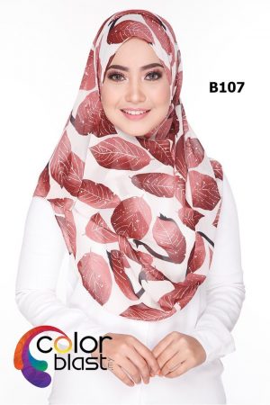 B107