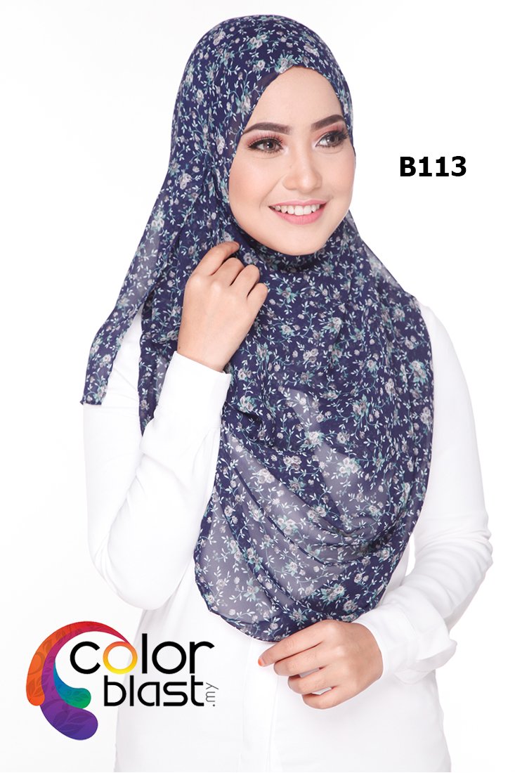 B113 - Image 2